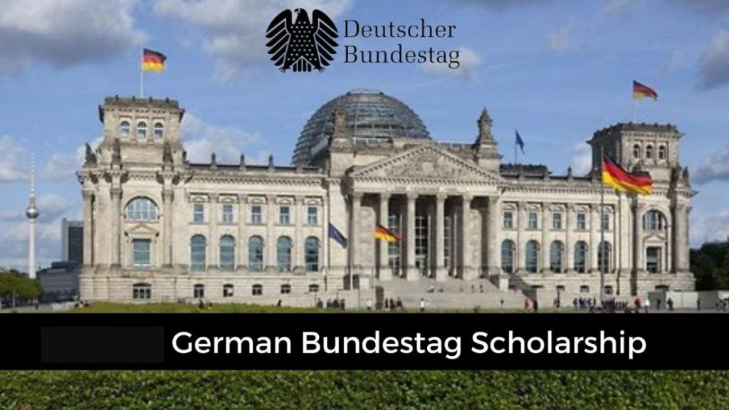 2027 German Bundestag IPS Africa Scholarship: Requirements & Application